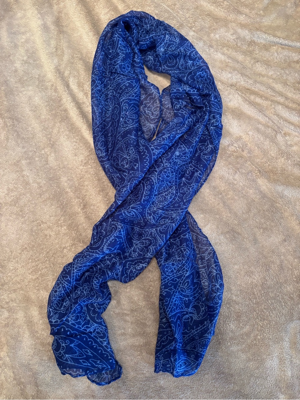 Blue Paisley Sheer Scarf - Women's Accessory